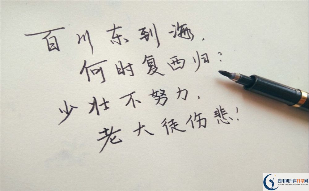 成都市成都實(shí)外新都五龍山學(xué)校直升要多少分？