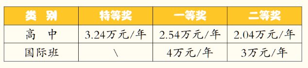 2023年成都市成都棠湖外國語學校有沒有獎學金，政策是什么