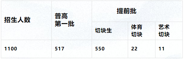 2025年廣安市廣安代市中學(xué)招生條件是什么？