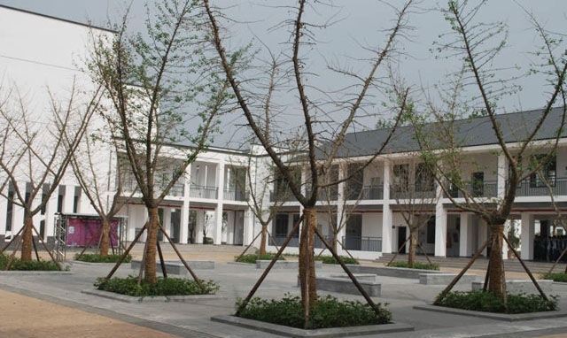 石室白馬中學校園風采