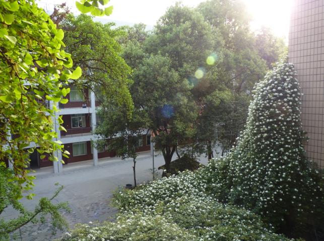 石室聯(lián)合中學(xué)蜀華分校怎么樣？