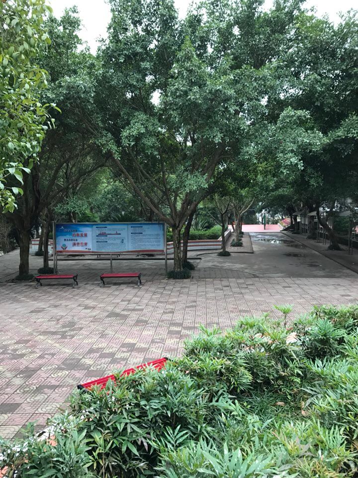 內(nèi)江十二中好嗎？