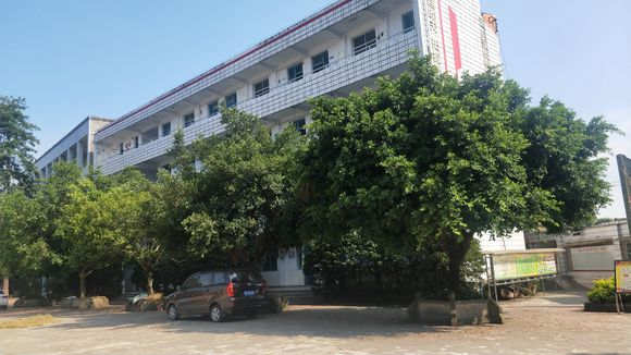 隆昌八中在哪里？