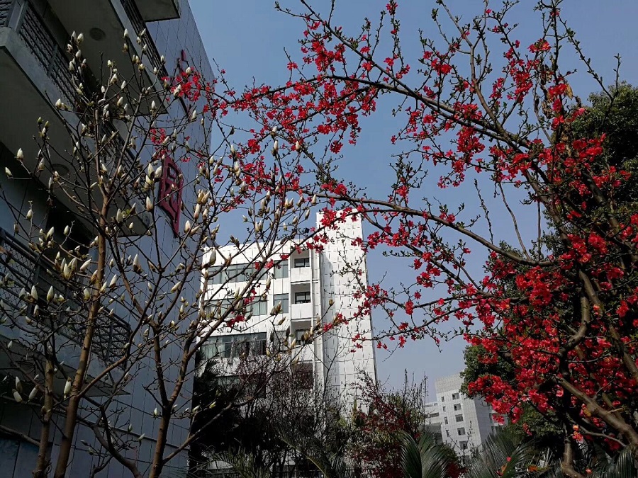綿陽南山中學(xué)教學(xué)質(zhì)量怎么樣？