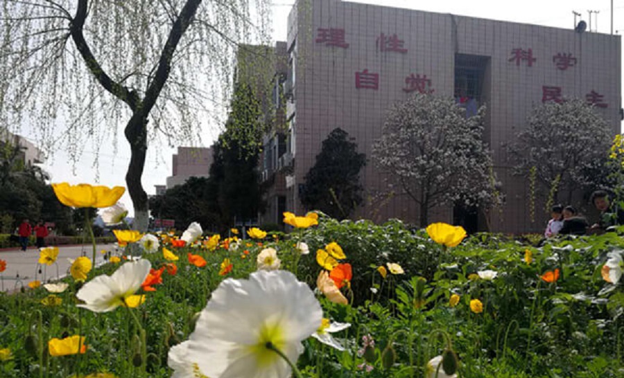 樂山市更生學(xué)校學(xué)費貴嗎？