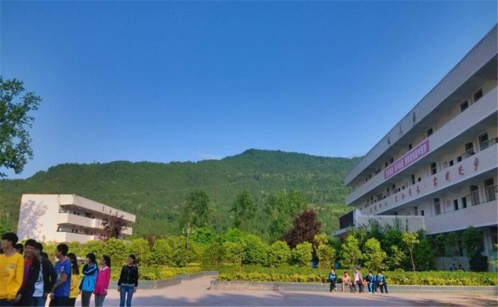 金山中學2020年學校招生計劃在哪兒看？