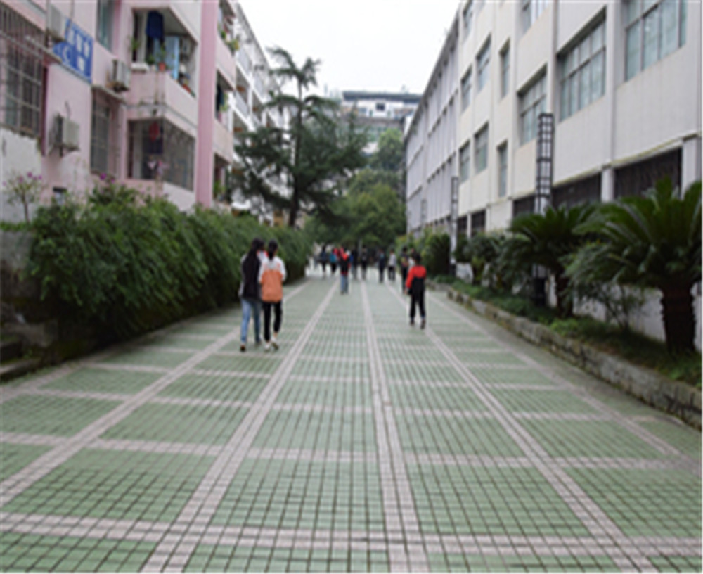 歧坪中學(xué)2020年的錄取分數(shù)是多少？