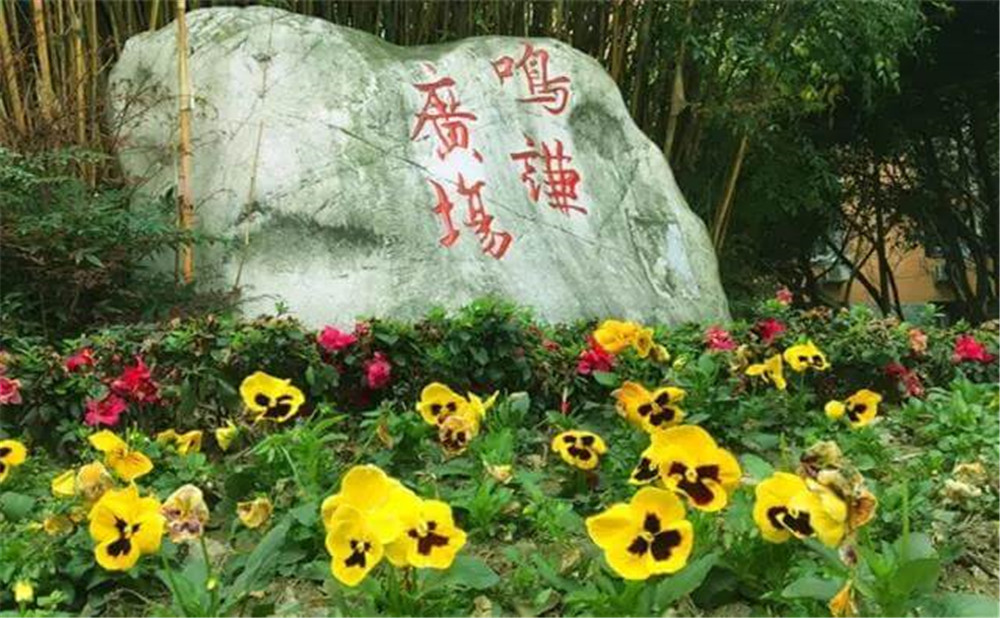 遂寧中學(xué)外國語實(shí)驗(yàn)學(xué)校的招生電話是多少？