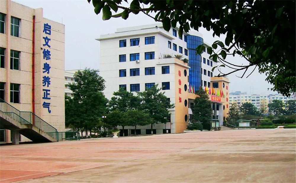 四川省鄰水中學(xué)2020年的招生計(jì)劃公布了嗎？