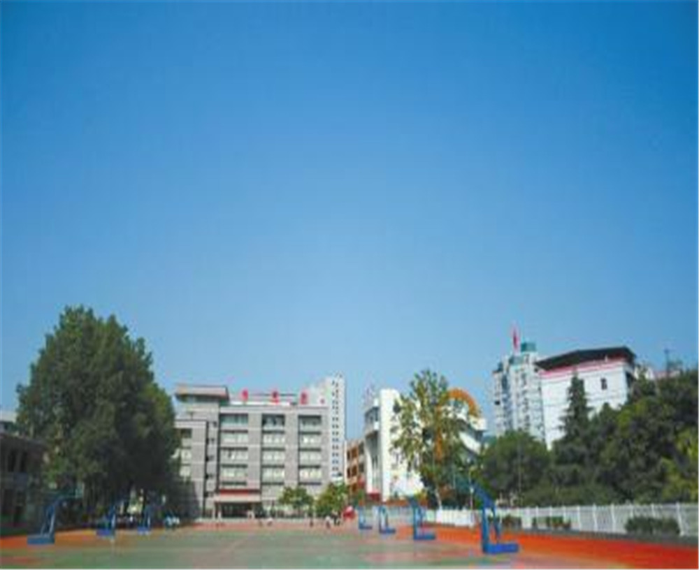 達(dá)川中學(xué)2020年的招生簡章發(fā)布了嗎？