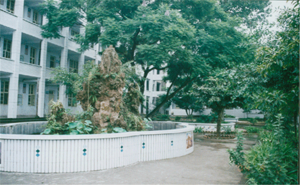 內(nèi)江市第十三中學(xué)學(xué)校環(huán)境怎么樣？