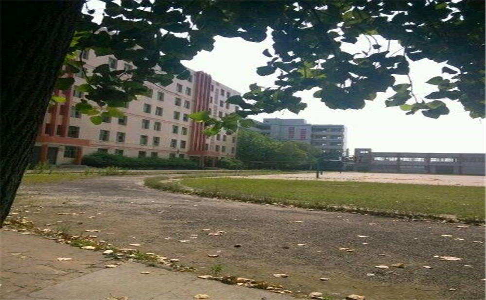 石埡中學(xué)2020年的收費標(biāo)準(zhǔn)是多少？