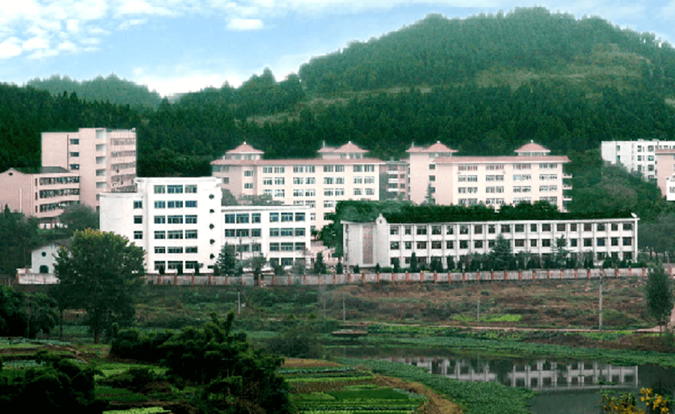 建興中學(xué)2020年學(xué)校學(xué)費多少錢一年？