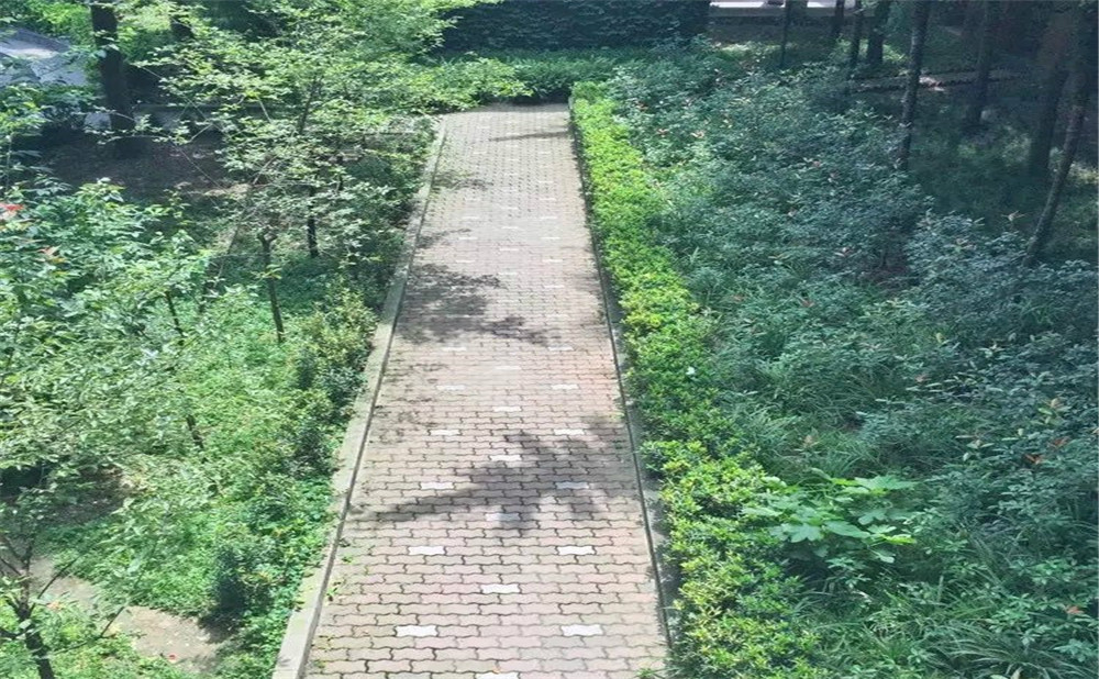 成都華西中學2020年的招生計劃公布了嗎？