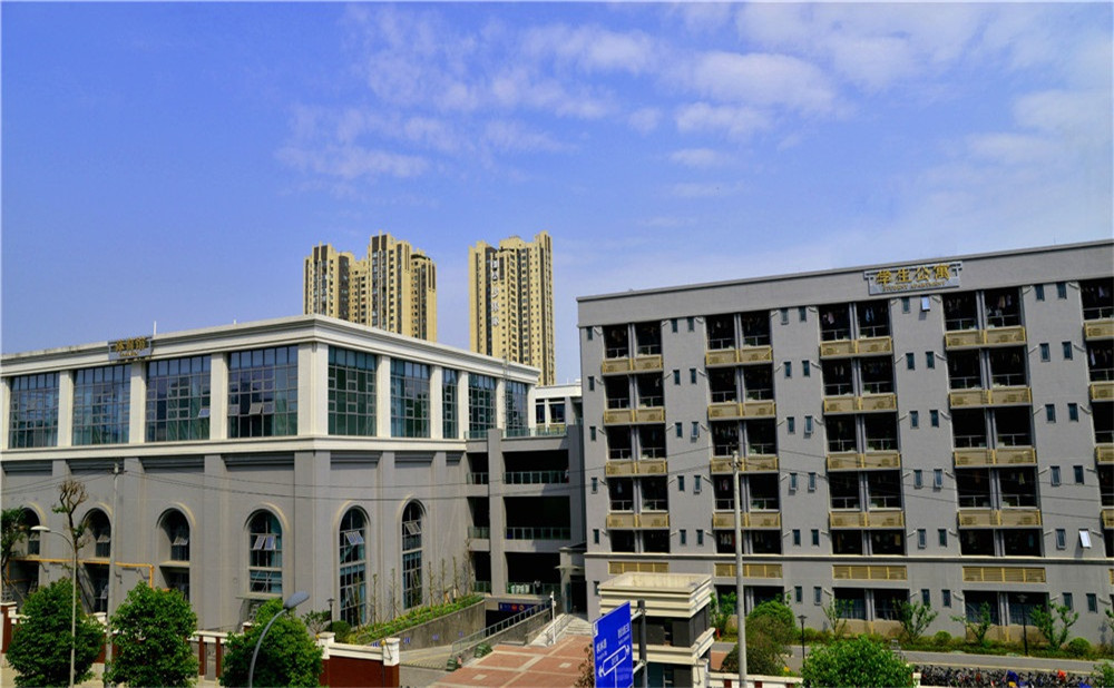 成都市第四十九中學(xué)去年的錄取分?jǐn)?shù)是多少？