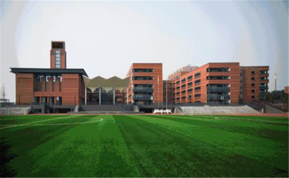 成都實(shí)外新都五龍山學(xué)校的高考升學(xué)率是多少？