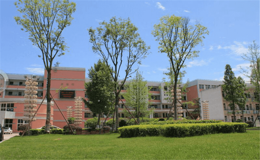 成都市籍田中學的老師怎么樣？