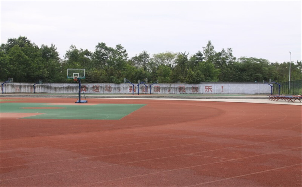 樹德懷遠(yuǎn)中學(xué)2020年招生計(jì)劃在哪兒看？