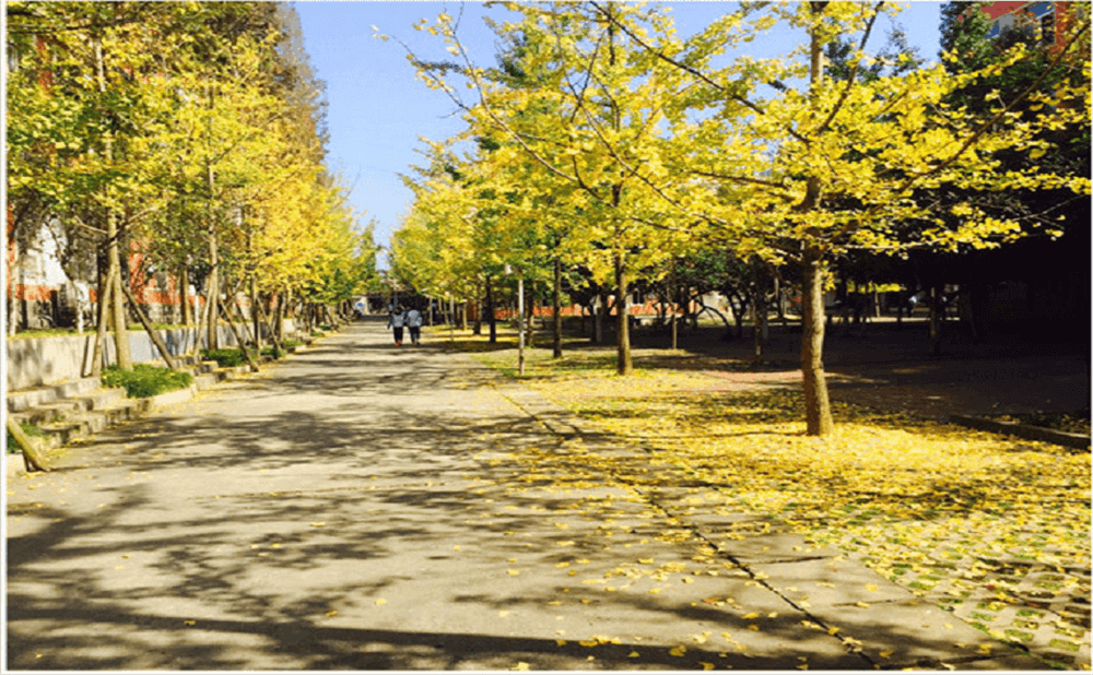 大邑中學(xué)2020年招生標準在哪兒看？
