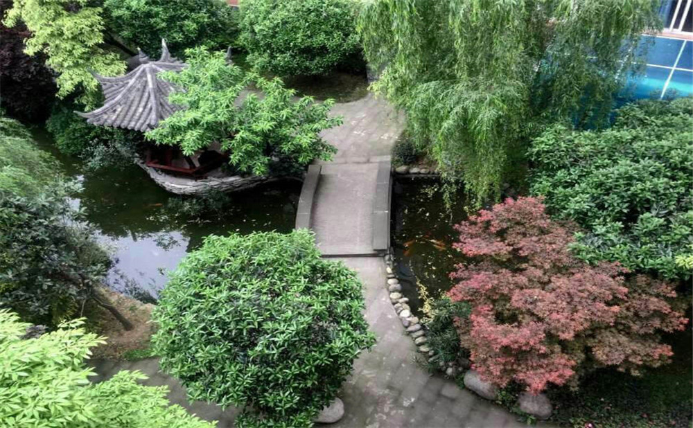成都八中近三年的錄取分數(shù)是多少？