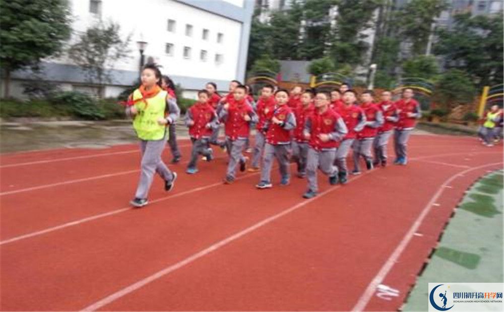 2020成都市泡桐樹中學(xué)的升學(xué)率有多少？