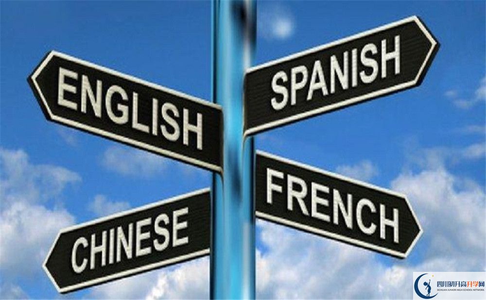成都石室外國語學校的學費收費標準是多少？