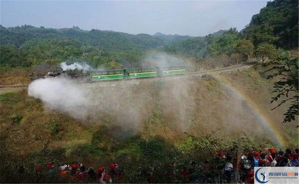 考成都市泡桐樹中學分數線是多少？