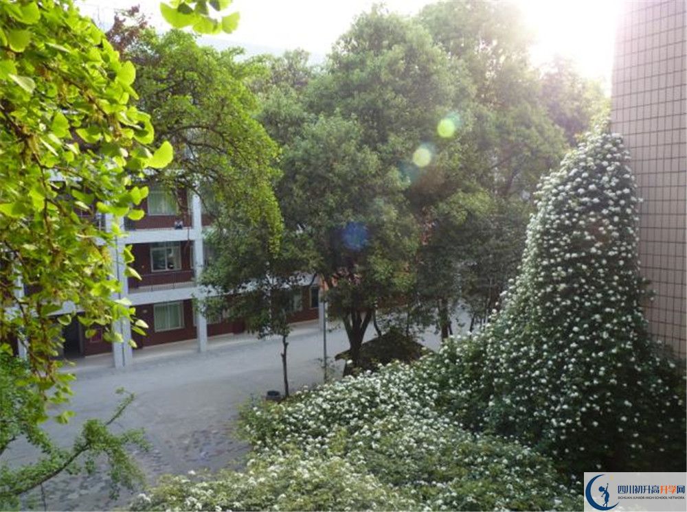 四川師范大學(xué)實(shí)驗(yàn)外國(guó)語(yǔ)學(xué)校2020年錄取條件是什么？