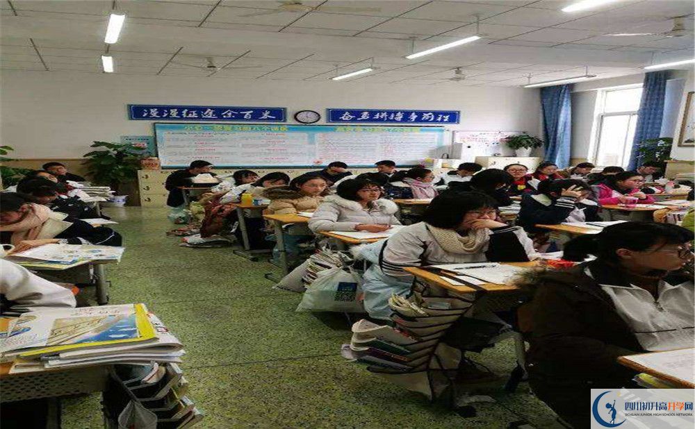 成都十二中地址在哪里？