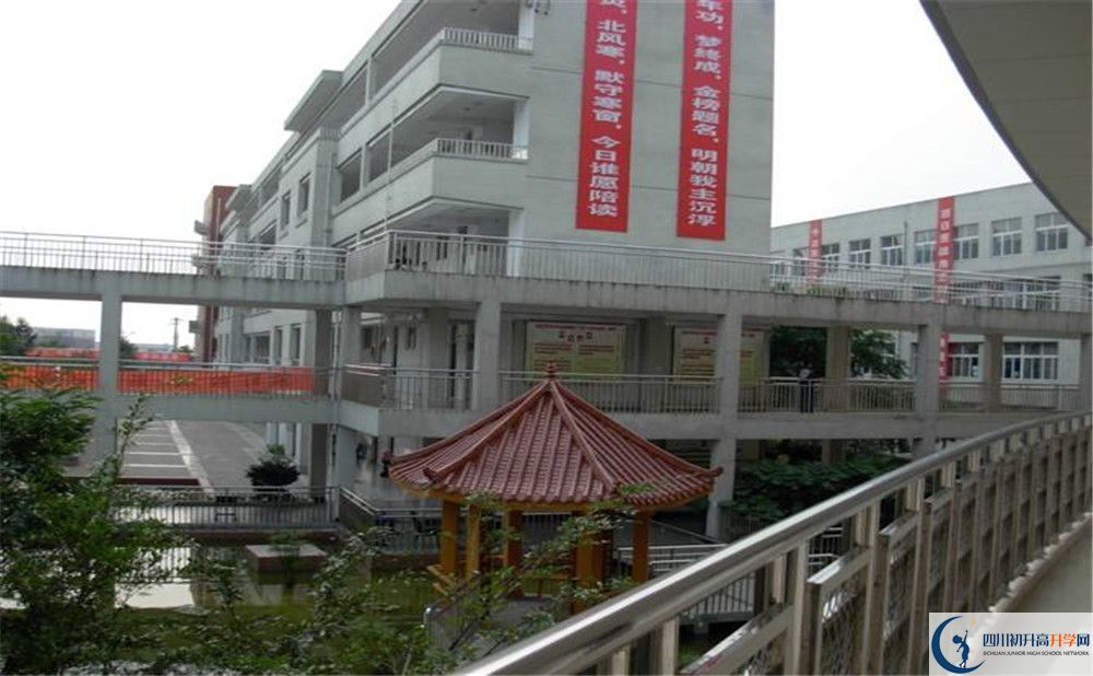 成都市龍泉中學(xué)2020年清華北大人數(shù)是多少？					