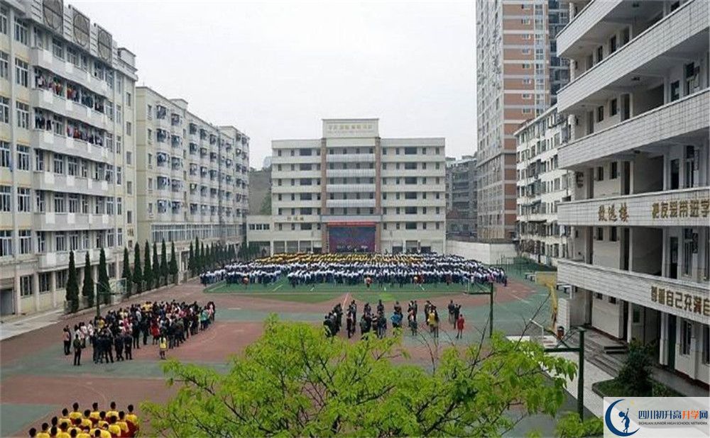 陽安中學(xué)的高一分班嗎？