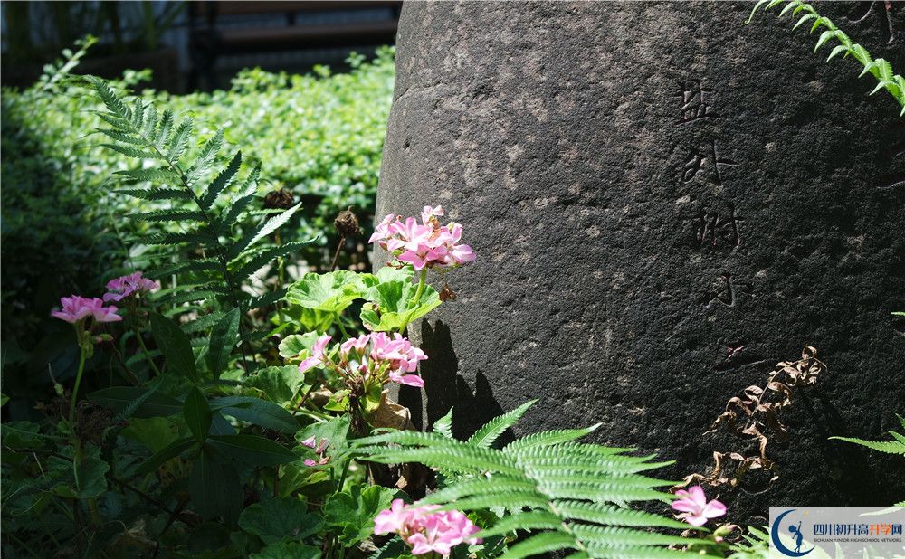 成都市石室聯(lián)中蜀華分校2020高一開(kāi)學(xué)時(shí)間是多久？