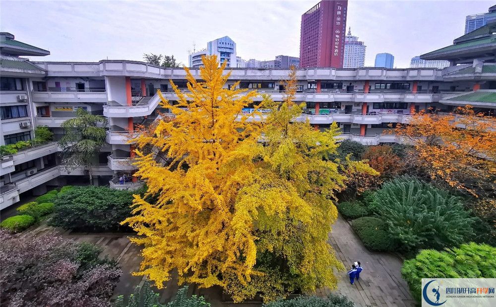 成都石室中學(xué)自主招生中考網(wǎng)上怎么報名？