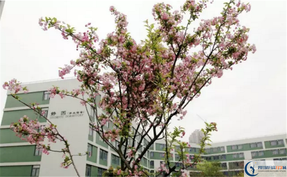 電子科技大學實驗中學2020高一開學時間是多久？