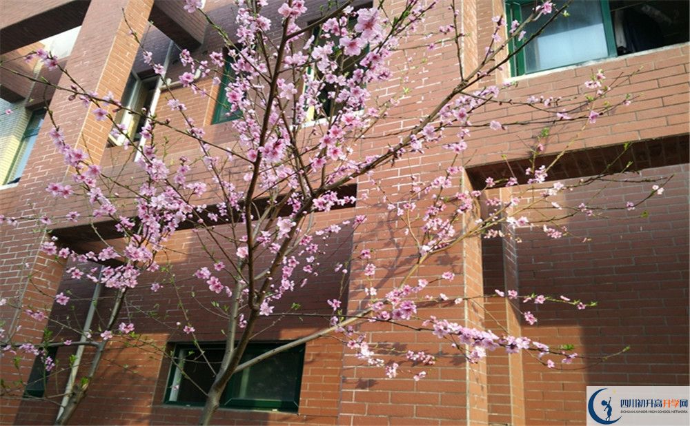 都江堰育才學校自主招生條件是什么？