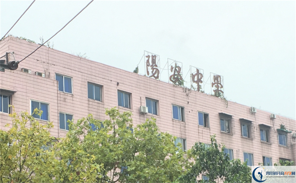 2020年陽安中學成績查詢入口在哪里？