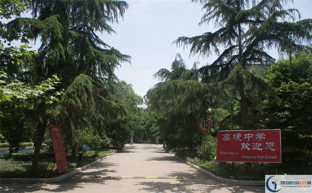 2020高埂中學(xué)高考重點大學(xué)升學(xué)率是多少？