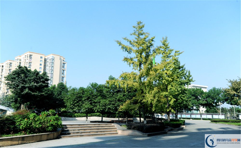 2020成都棠湖外國語學校期末試卷數學在哪里看？
