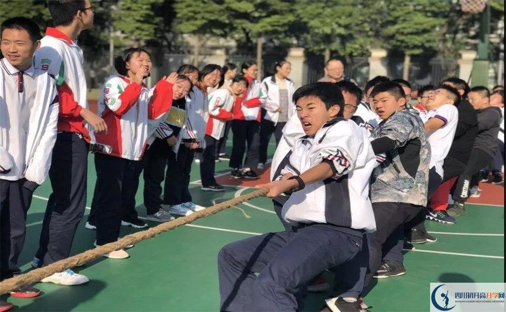 成都樹德中學(xué)面向全國招生嗎？