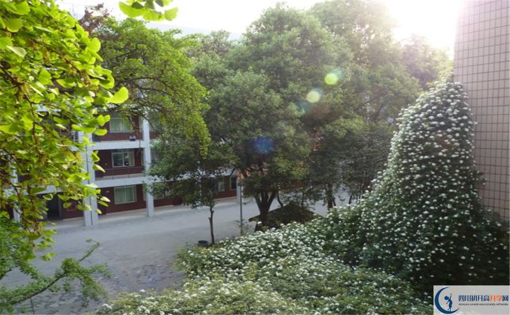 石室聯(lián)合中學(xué)蜀華分校高中分班考試難嗎？