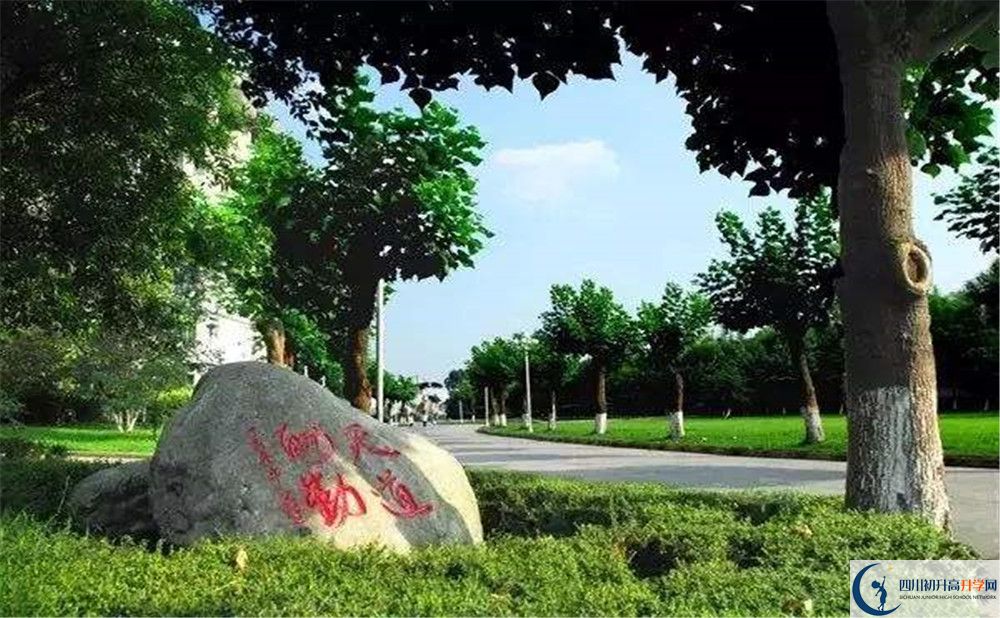 成都樹德中學(xué)補(bǔ)課嗎？