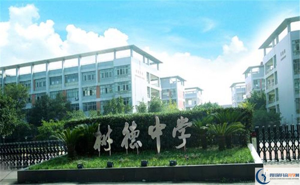 成都樹(shù)德中學(xué)光華校區(qū)補(bǔ)課嗎？