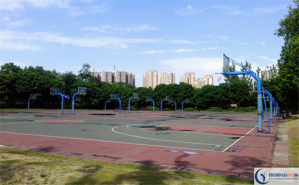 成都實(shí)驗(yàn)外國語學(xué)校（西區(qū)）補(bǔ)課嗎？