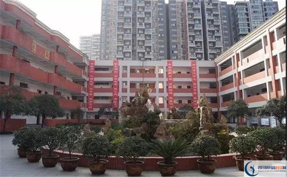 成都三十七中2020年高考人數是多少？
