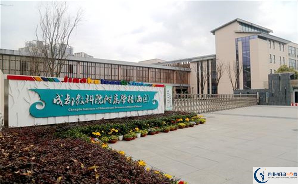 成都教科院附屬學(xué)校2020年高考人數(shù)是多少？