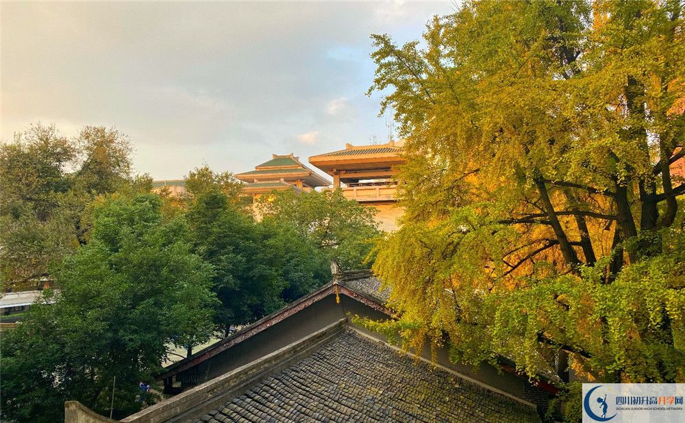 成都石室中學(xué)北湖校區(qū)2020年中考錄取分?jǐn)?shù)線是多少？