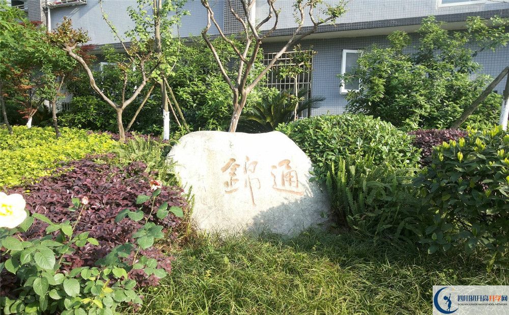 關(guān)于通錦中學(xué)2020年招生計(jì)劃（含統(tǒng)招、調(diào)招、指標(biāo)等）