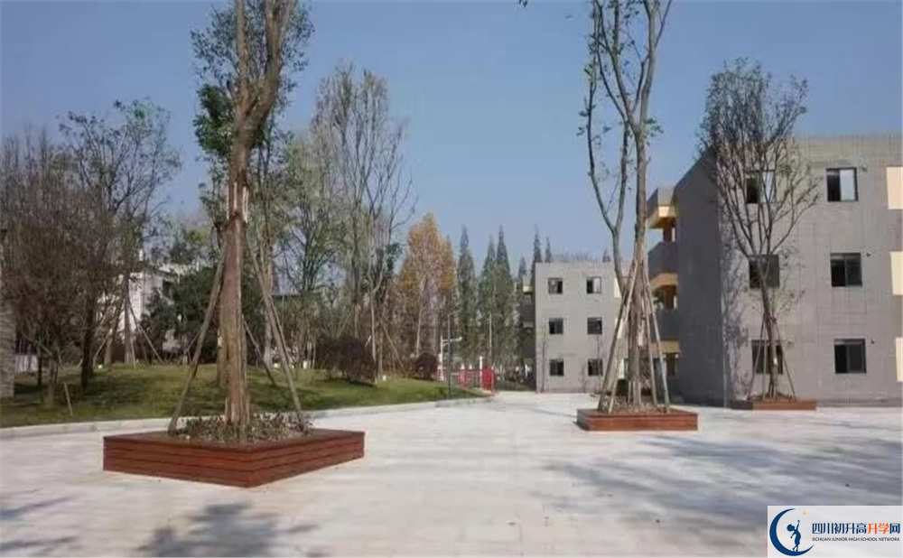 成都綿實(shí)外國(guó)語學(xué)校2020年開學(xué)時(shí)間安排是怎么樣的？