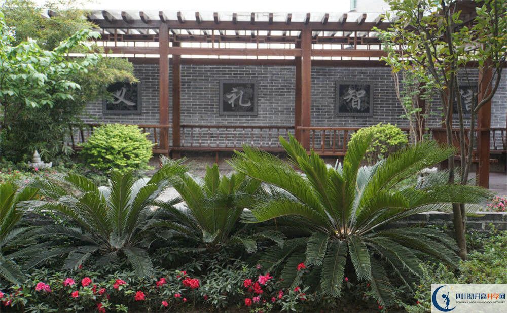 2020成都八中考自主招生條件是什么，有何變化？