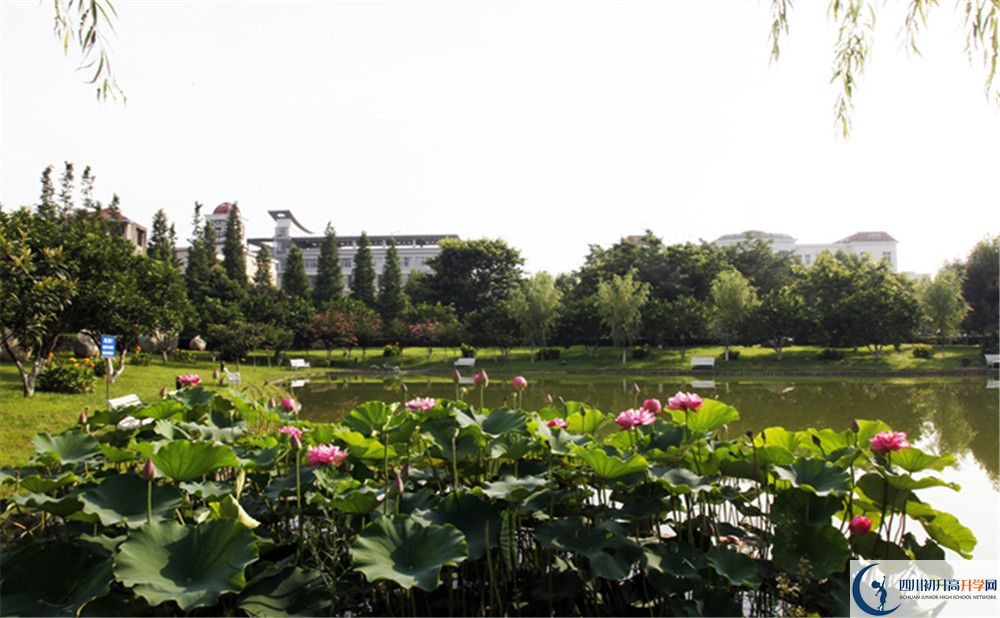綿陽南山中學實驗學校2020年報名考試時間是否有調(diào)整？